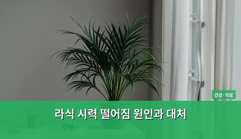 라식 시력 떨어짐 원인과 대처 방법 및 관리 가이드
