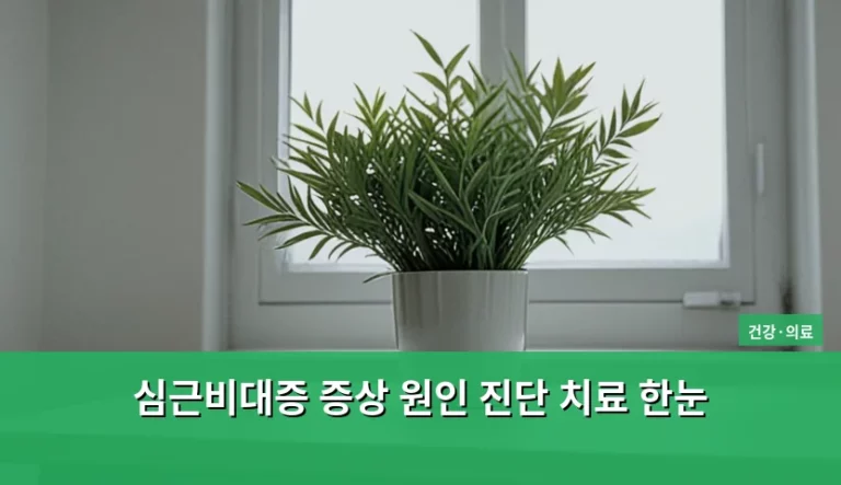 심근비대증 증상 원인 진단 치료 한눈에 보는 가이드