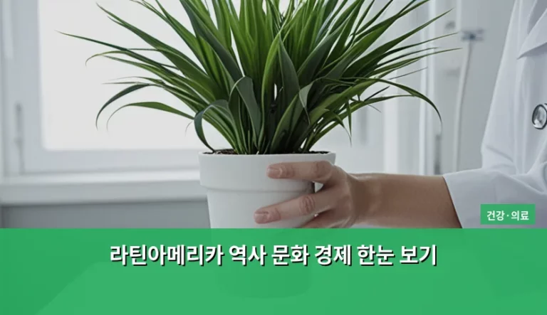 라틴아메리카 역사 문화 경제 한눈 보기 가이드