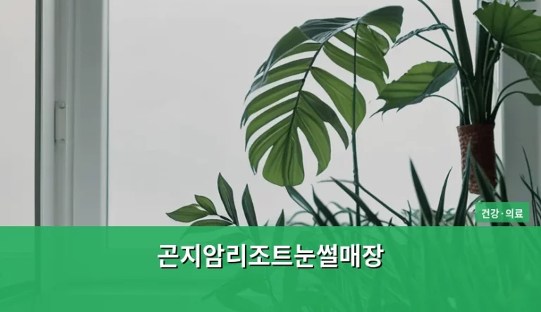 곤지암리조트눈썰매장 이용 가이드와 겨울철 안전 수칙