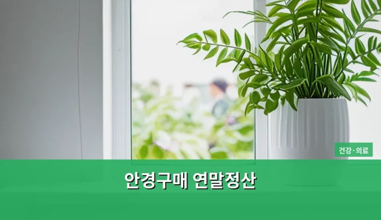 안경구매 연말정산 의료비 공제 기준과 증빙 서류 가이드