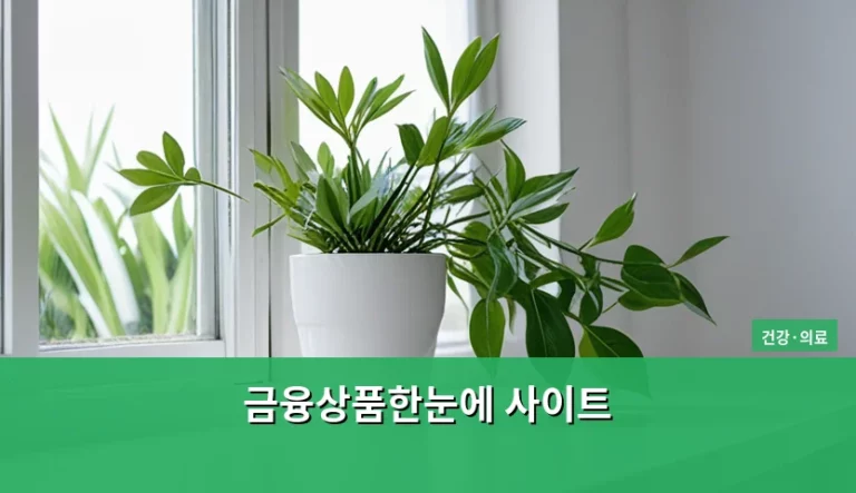 금융상품한눈에 사이트 활용법과 똑똑한 자산 관리 가이드