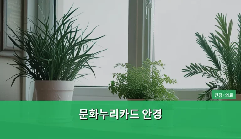 문화누리카드 안경 구매 가능 여부와 지원 방법 안내