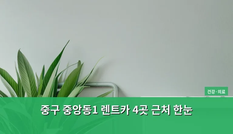 중구 중앙동1 렌트카 4곳 근처 한눈 비교 및 이용 팁