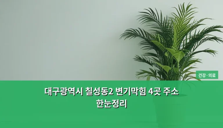 대구광역시 칠성동2 변기막힘 4곳 주소 한눈정리 및 해결 가이드