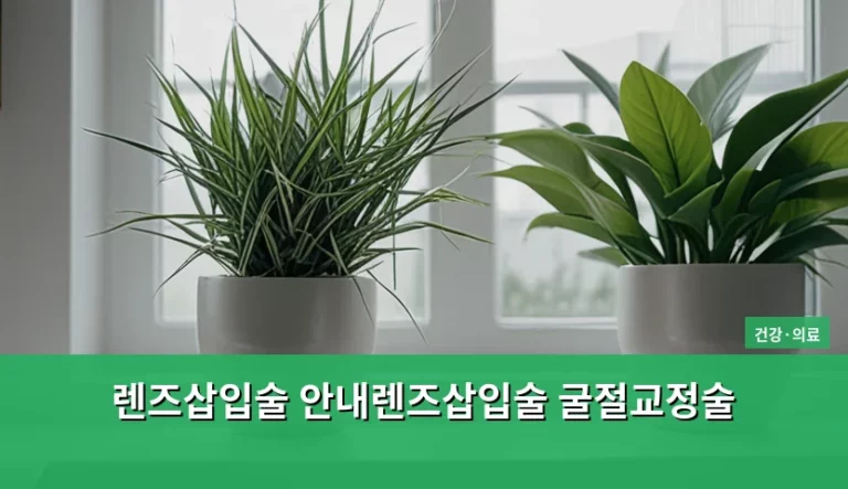 렌즈삽입술 안내렌즈삽입술 굴절교정술 특징과 주의사항 정리