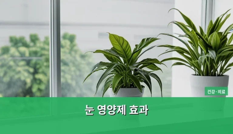 눈 영양제 효과 성분 분석 및 올바른 선택 방법