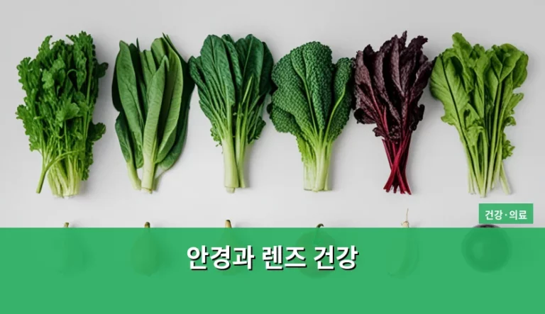안경과 렌즈 건강을 지키는 시력 교정 및 관리법