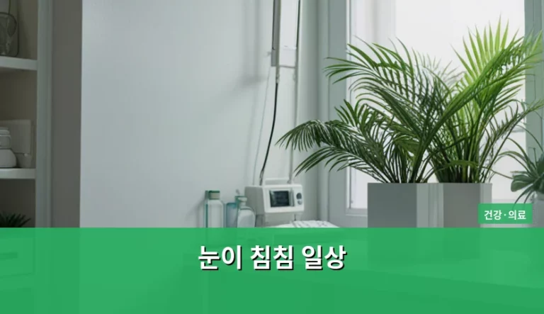 눈이 침침 일상 속 원인과 눈 건강 관리 방법
