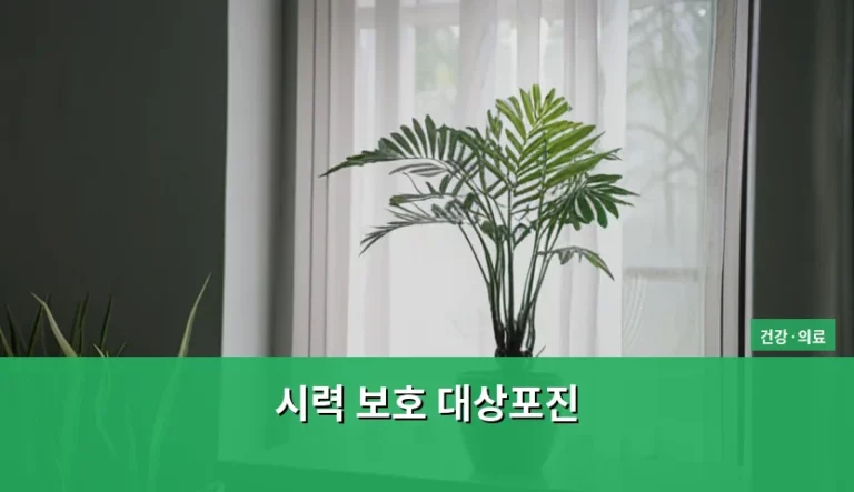 시력 보호 대상포진 증상과 골든타임 관리법