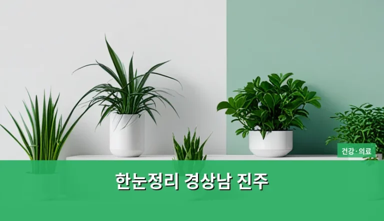 한눈정리 경상남 진주 힐링 여행 코스와 필수 정보