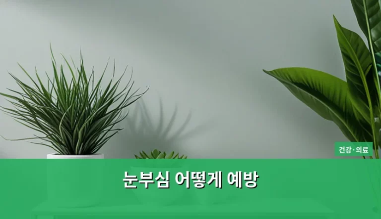 눈부심 어떻게 예방하고 망막 건강 지키는 실천 가이드