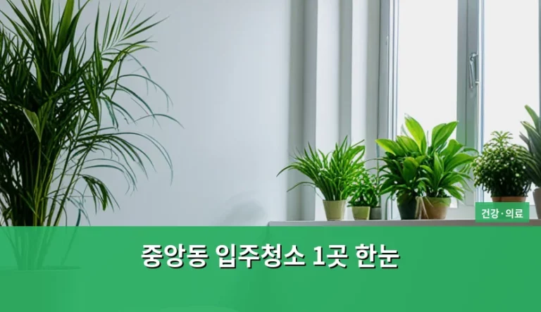중앙동 입주청소 1곳 한눈 비교 및 선택 가이드