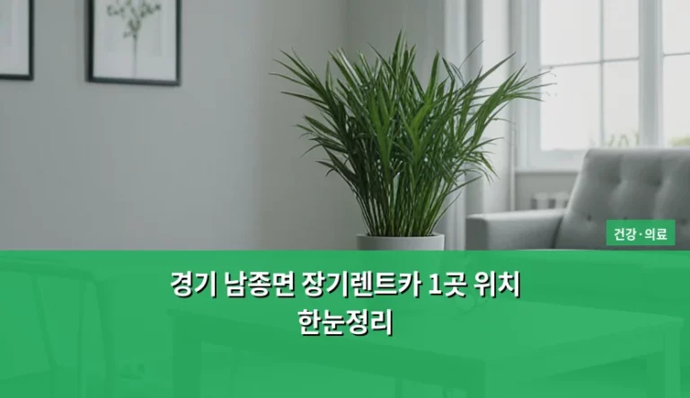경기 남종면 장기렌트카 1곳 위치 한눈정리 및 이용 팁