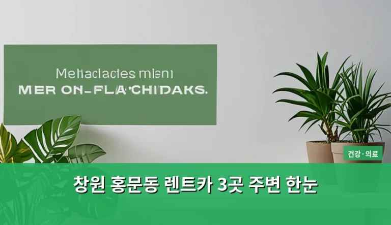 창원 홍문동 렌트카 3곳 주변 한눈 비교 및 이용 가이드