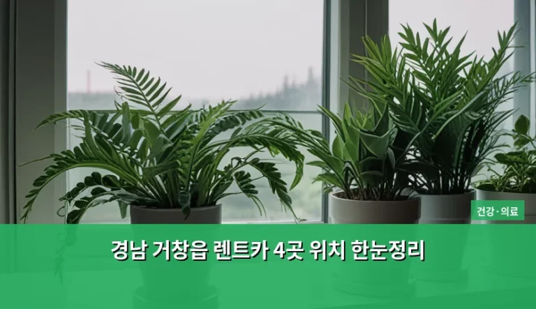 경남 거창읍 렌트카 4곳 위치 한눈정리 및 이용 가이드