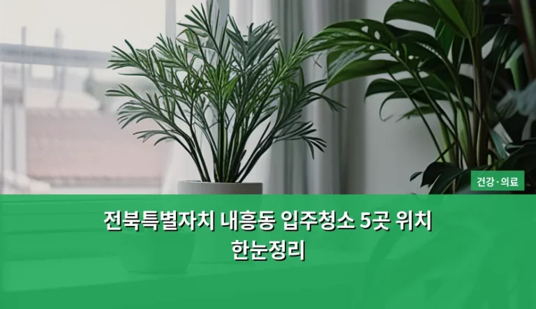 전북특별자치 내흥동 입주청소 5곳 위치 한눈정리 및 비용 가이드