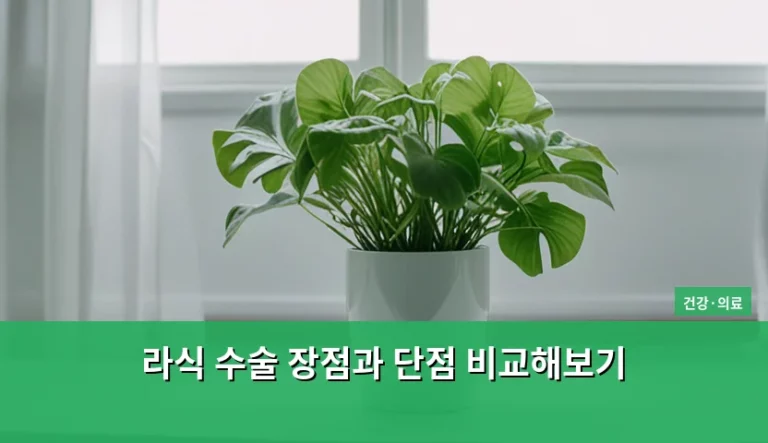 라식 수술 장점과 단점 비교해보기 및 시력 교정 선택 가이드