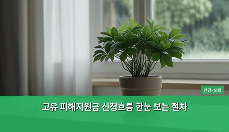 고유 피해지원금 신청흐름 한눈 보는 절차와 신청 가이드