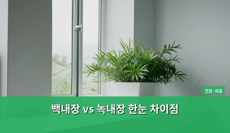 백내장 vs 녹내장 한눈 차이점 및 증상별 관리법