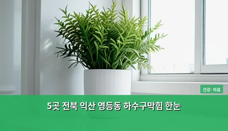 5곳 전북 익산 영등동 하수구막힘 한눈에 보는 해결 가이드