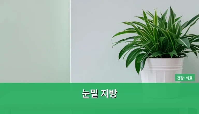 눈밑 지방 원인과 개선 방법 및 비용 분석
