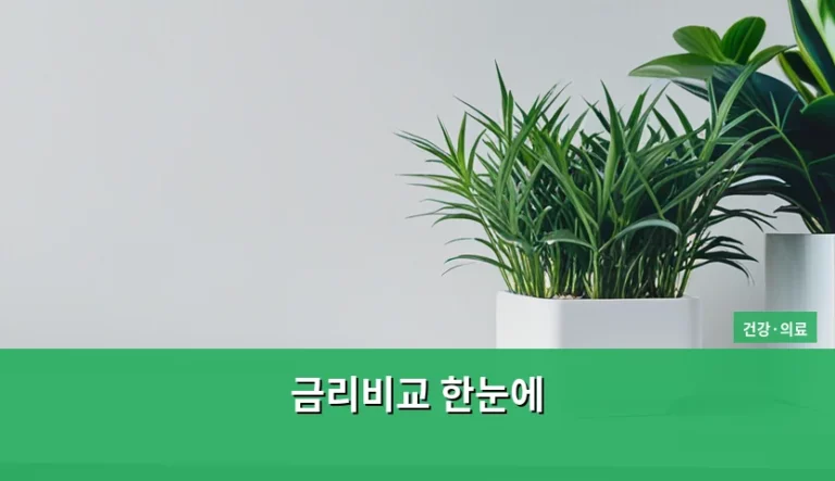 금리비교 한눈에 확인하는 법과 스마트한 자산 관리 가이드