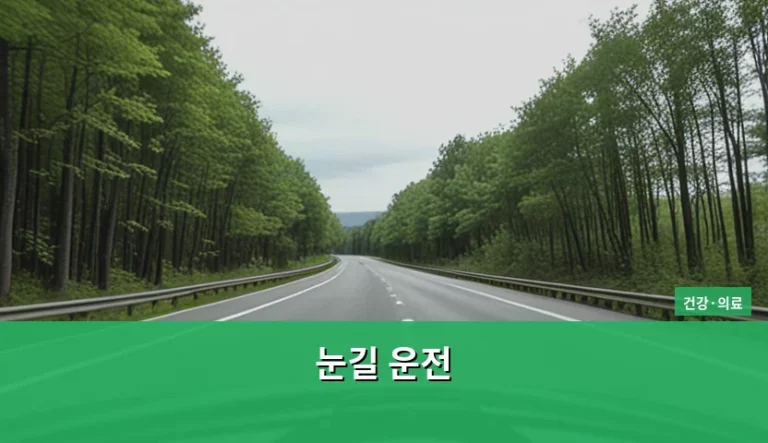 눈길 운전 안전 수칙과 사고 예방 가이드