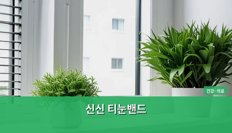 신신 티눈밴드 사용법과 무지외반증 통증 완화 가이드