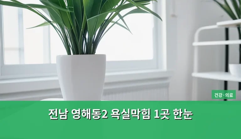 전남 영해동2 욕실막힘 1곳 한눈 해결 방법과 예방 가이드