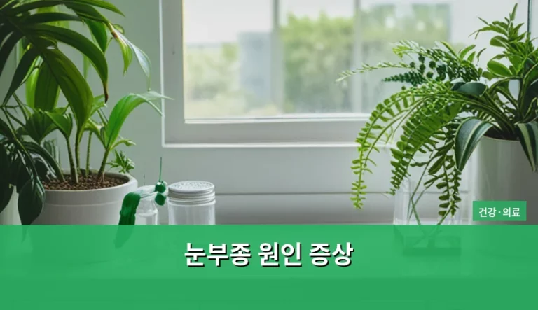 눈부종 원인 증상 및 부기 완화 방법 가이드