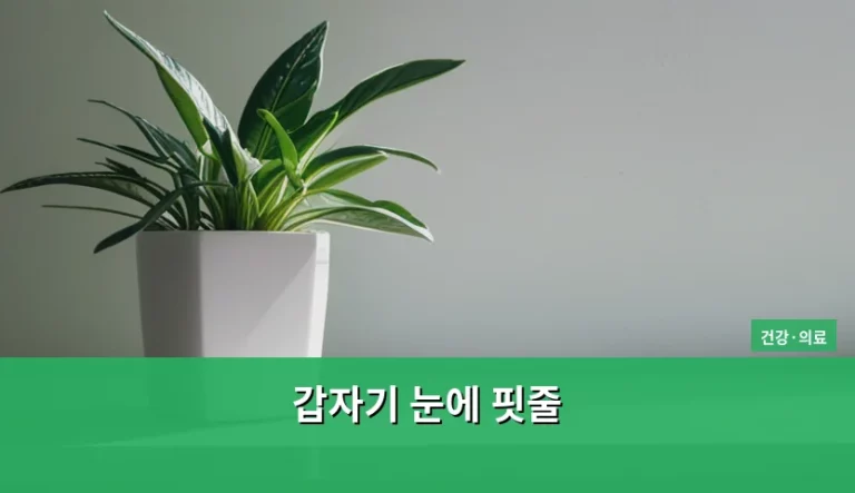 갑자기 눈에 핏줄 터졌을 때 원인과 대처법 가이드