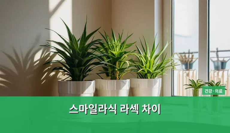 스마일라식 라섹 차이와 내 눈에 맞는 수술법 선택 기준