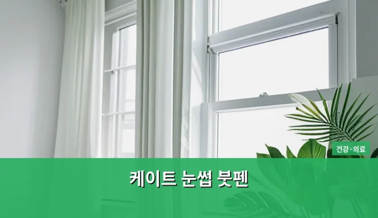 자연스러운 눈썹 연출을 위한 케이트 눈썹 붓펜 사용법