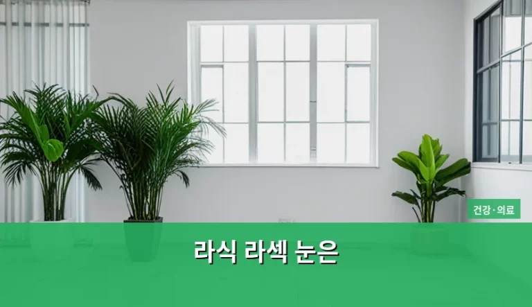 라식 라섹 눈은 상태에 따른 선택 기준과 주의사항