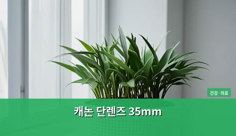 캐논 단렌즈 35mm 선택 가이드와 사용 팁