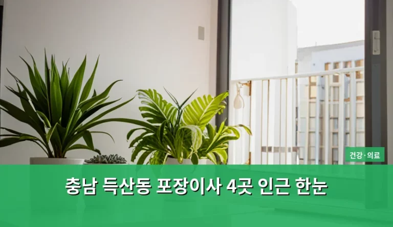 충남 득산동 포장이사 4곳 인근 한눈 비교 분석 가이드