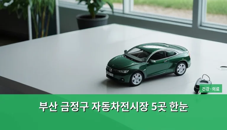 부산 금정구 자동차전시장 5곳 한눈 비교 및 선택 요령