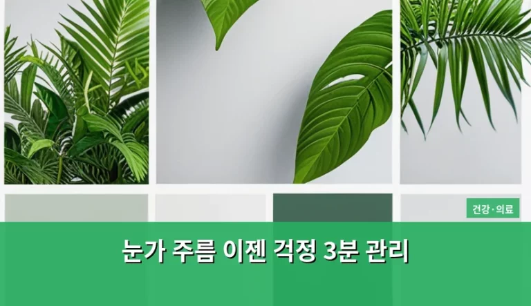 눈가 주름 이젠 걱정 3분 관리법과 예방 가이드